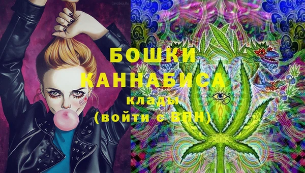 прущие грибы Арсеньев