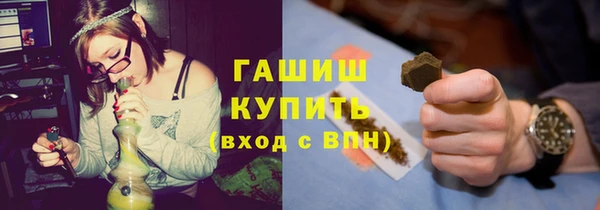шишки Осташков