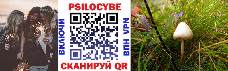 hydra ТОР  Хилок  Псилоцибиновые грибы мухоморы 